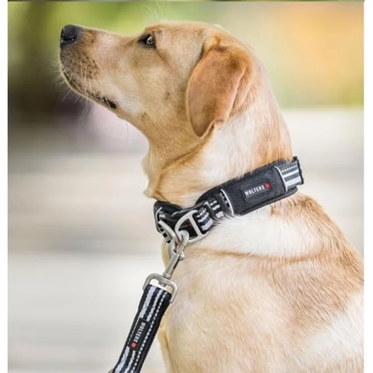 Wolters Active Pro Hunde-Halsband, schwarz/schwarz, mit atmungsaktivem Mesh-Gewebe und stabilem Schnellverschluss – Bild 2
