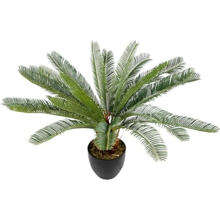 MID.YOU Kunstpflanze Grün, Kunststoff, 70x70x70 cm, inkl. Topf, Real-Touch-Oberfläche – Bild 5