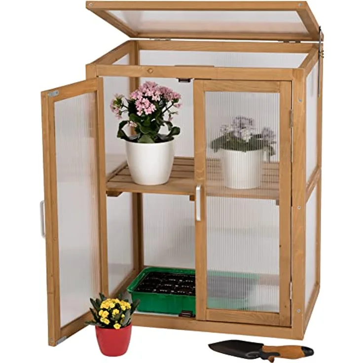 needs&wants® Mini Gewächshaus Treibhaus klein Winterfest aus Holz für Balkon Garten Indoor, Frühbeet Hochbeet Pflanzschrank Anzuchthaus, 56x43x76 cm, Polycarbonat - Preisvergleich