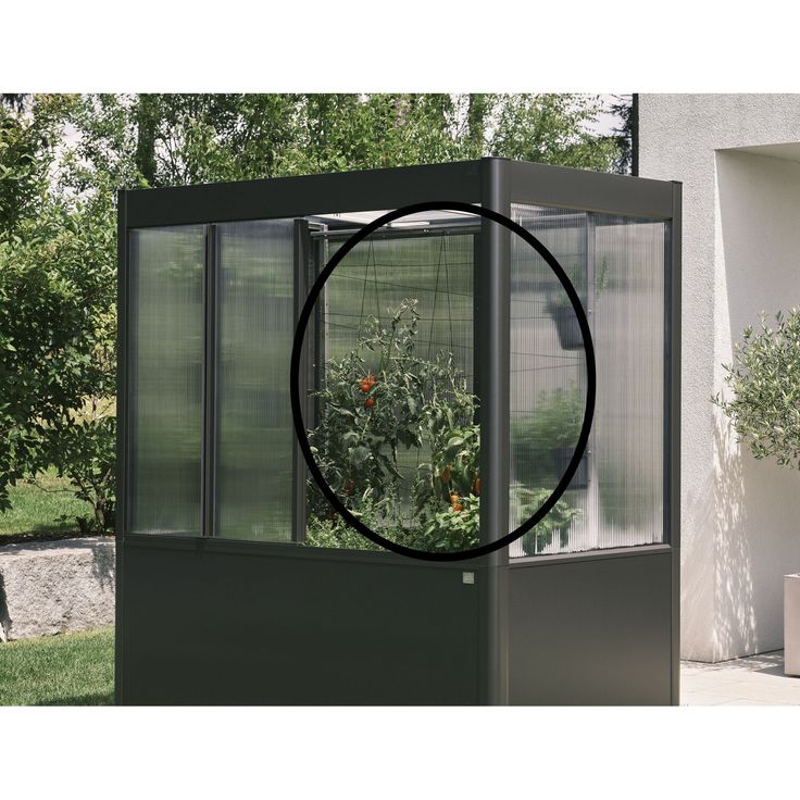 Biohort Rankhilfe für Gewächshaus Florentina Maxi, flexible Pflanzenführung mit robuster Schnur, passend für 2 x 0,5 und 2 x 1 Modelle