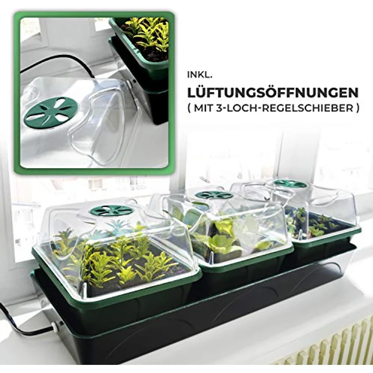 Bio Green Hollandia Anzucht-Set – Bild 6