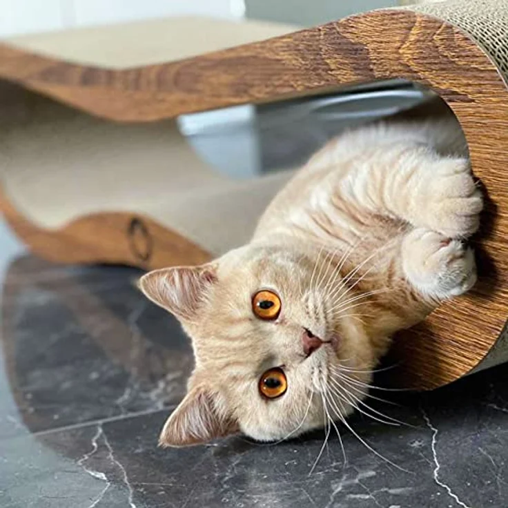 CanadianCat Company | Kratzbrett Orbit | walnussbraun | Kratzmöbel, Lounge für Katzen | Kratzpappe + Katzenminze | ca. 84 x 24 x 23cm – Bild 2