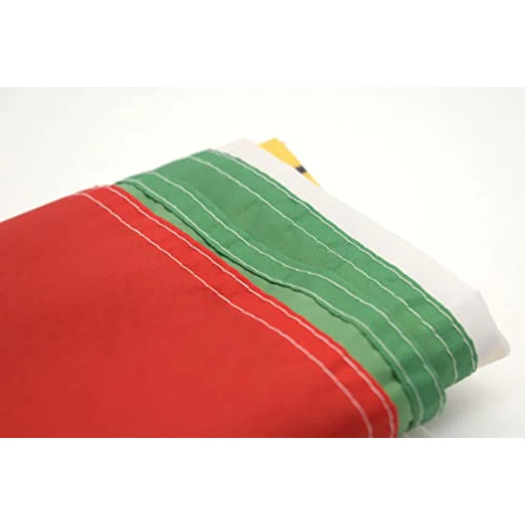 ASVP Shop Iran-Flagge, Alte Persien, 90 x 150 cm, lichtecht mit Löwe & Sonne, rot-weiß-grün – Bild 4