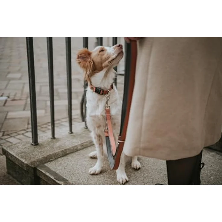 HUNTER Verstellbare Führleine NEOPREN, Kupfer-grau, strapazierfähiges Nylon, 3-fache Verstellmöglichkeit, weiche Neoprenpolsterung, optimal für Alltag und Training, Größe: 15-200 – Bild 3