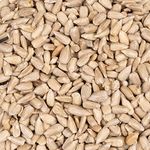 Lyra Pet® | 25 kg Sonnenblumenkerne Geschält in Futterqualität 2. Wahl | Wildvogelfutter Ganzjährig | Ideal für Jungtiere | Vogelfutter für Wildvögel | Wertvolles Streufutter | Sommer und Winter - Preisvergleich