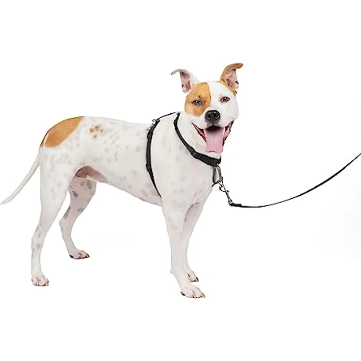 PetSafe 3-in-1 Geschirr, Hundegeschirr mit Rückhaltegurt, Reduziert Ziehen und Druck auf die Kehle, Größe M, Schwarz