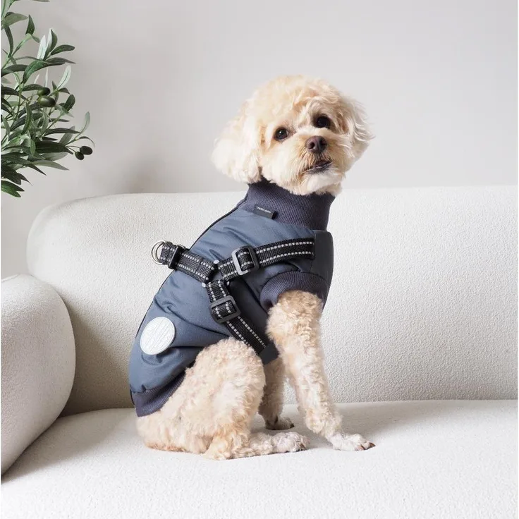 Nordic Paws Thor Hundejacke mit Geschirr, wasserabweisend, atmungsaktiv, Fleece-Futter, Anthrazit, 45 cm, Größe L