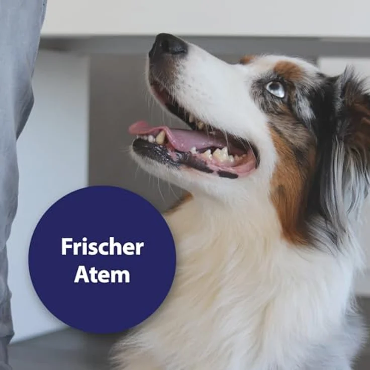Canosept Zahnpflege Finger-Pads für Hunde, 50 Stück, effektive Mundhygiene und Plaque-Reduktion – Bild 5