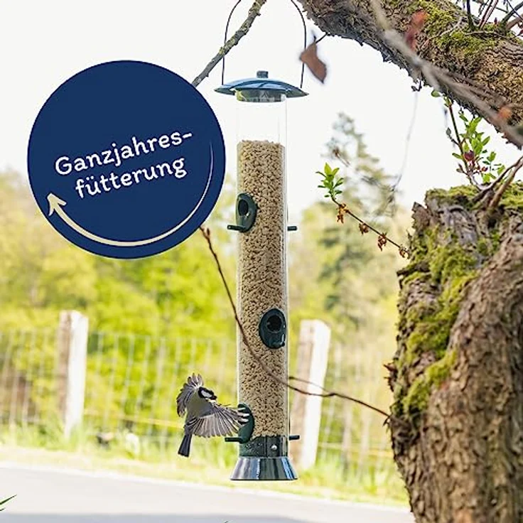 Lyra Pet® | 25 kg Erdnusskerne Weiß Gehackt | Ideal für Kleine Vögel & Jungtiere | Wildvogelfutter für Sommer & Winter | Fetthaltig & Nährstoffreich | Energiespender Wildvögel | Gehackte Erdnüsse – Bild 3