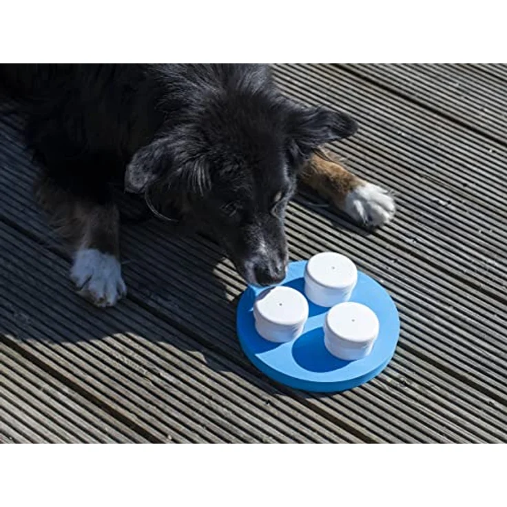 Schnüffelset für Hunde mit DREI Dosen und Klicker, Geruchssinn, Hundetraining – Bild 2