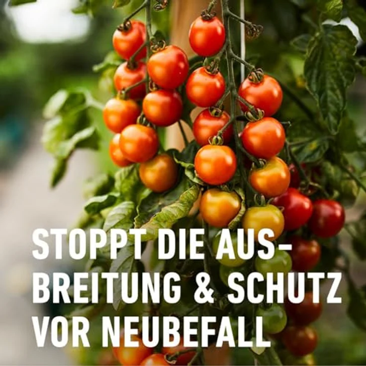 COMPO Duaxo Universal Pilz-frei 75ml – Bild 5