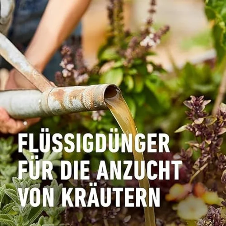 Compo BIO Kräuterdünger 500 ml – Bild 5