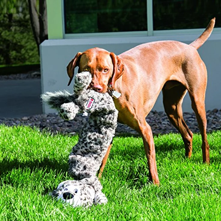 KONG stretchezz Jumbo Hundespielzeug Löwe – Bild 2