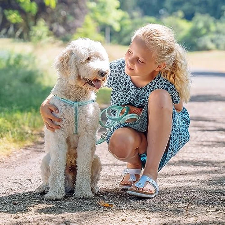 Nobby Führleine Soft Grip, rot L: 200 cm, B: 15 mm, 1 Stück – Bild 3