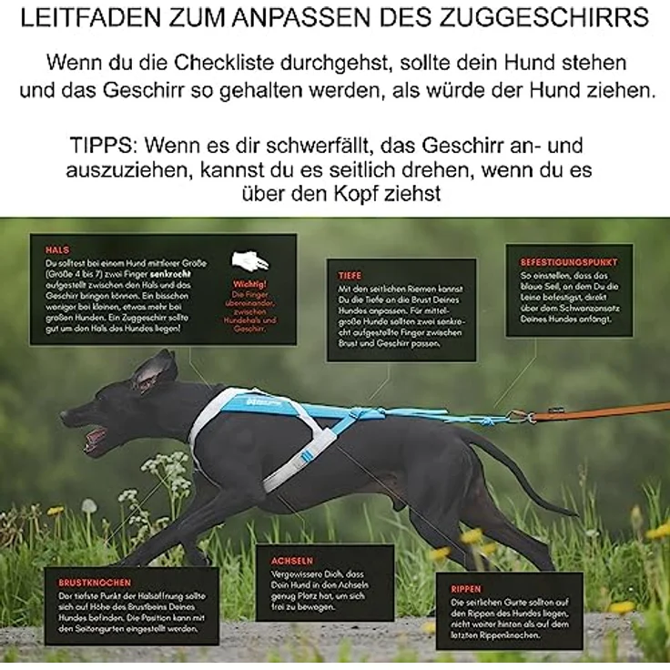 Non-stop dogwear FREEMOTION Harness 5.0 |111| Hundegeschirr für alle Sportarten, Größe:7, orange/schwarz, ergonomisches Design mit Y-förmigem Vorderteil – Bild 4