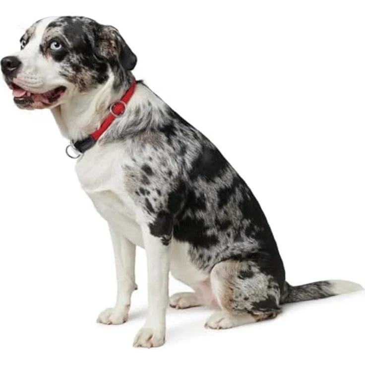 Dressurhalsung Freestyle 55 / 10, rot, – Bild 2