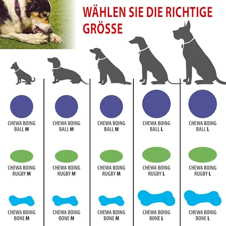 Ferplast CHEWA Boing Mittelgroß Futterball für Hunde, Schwarz, aus strapazierfähigem, ungiftigem, bissfestem Material, Zahnhygiene des Hundes, Springt und Schwimmt – Bild 4