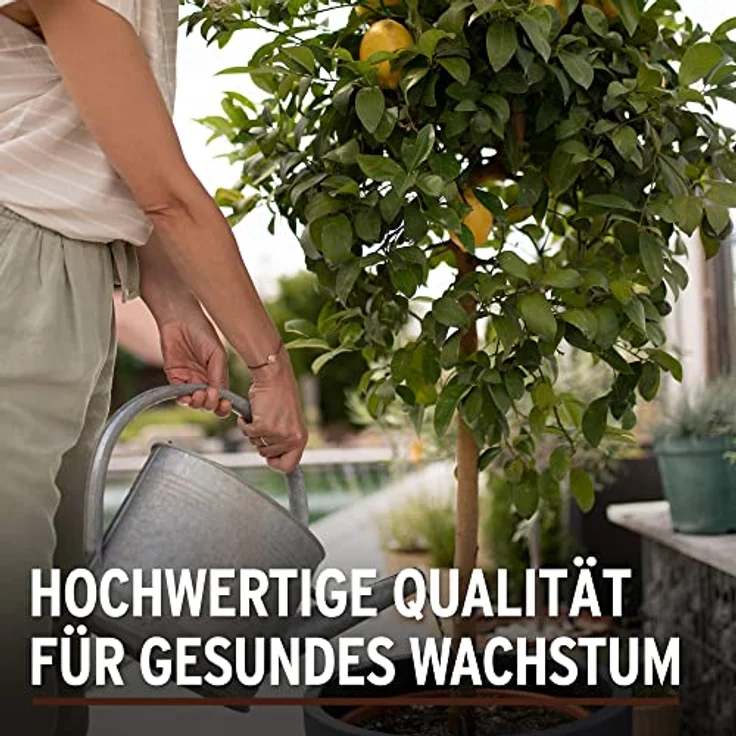 Substral Naturen Mediterrane & Zitrus Erde Bio & torffrei, für Zitruspflanzen, Kräuter, Palmen, etc., 20L – Bild 4