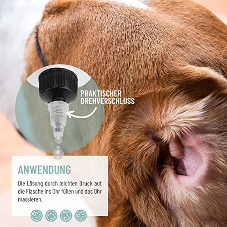 ReaVET TESTURTEIL SEHR GUT 09/23 Ohrenreiniger für Hunde & Katzen 250ml - Ohrreiniger mit Kolloidalem Silber + Natürlicher Kamille I Mittel zum Ohr Reinigen für Hund, Katze, Pferd – Bild 3