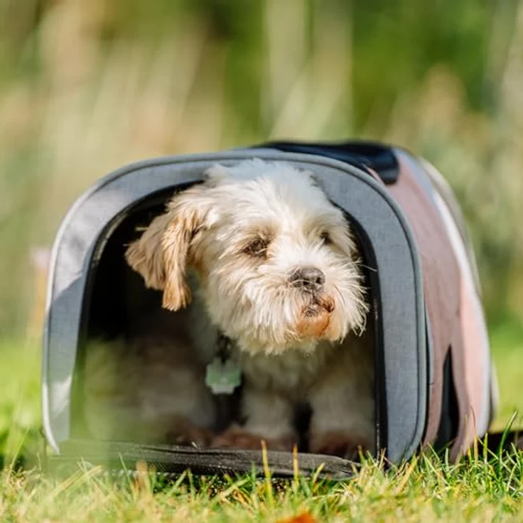Nobby Rucksack Plata Altrosa-grau 34 x 30 x 43 cm – Bild 3
