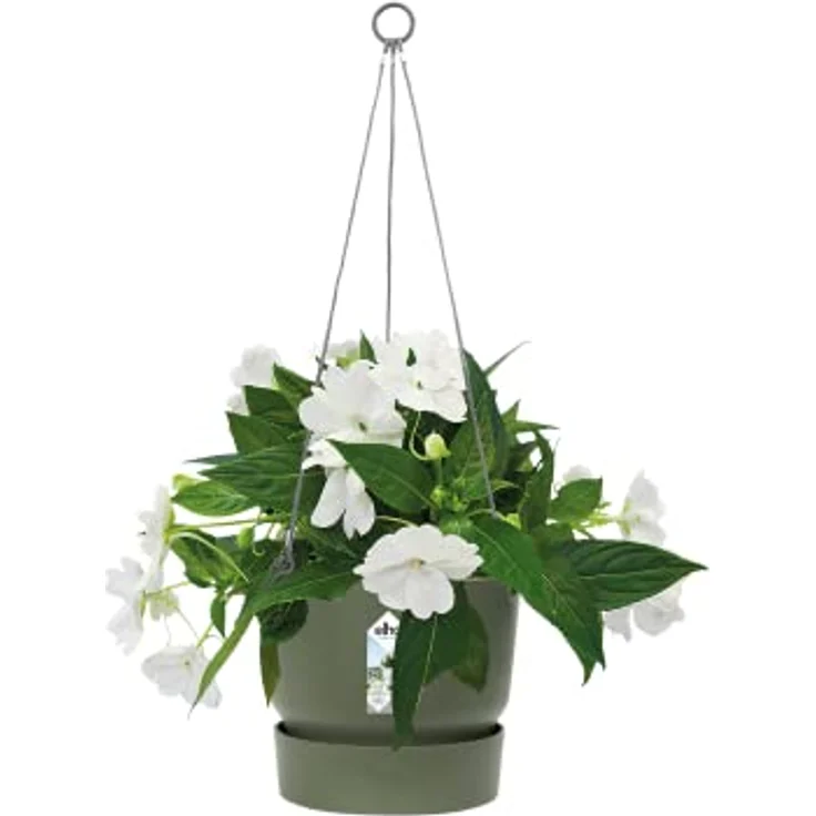 elho Greenville Hängeampel 24 - Blumentopf Hängend - Pflanzentopf für Balkon & Außen - 100% recyceltem Plastik - Ø 23.5 x H 20.5 cm - Grün/Laubgrün – Bild 3