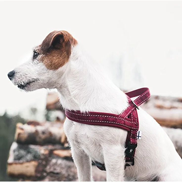 Hurtta Gepolstertes Hundegeschirr Lingon, 71 cm, mit Neoprenpolsterung und 3M-Reflektoren für optimale Sichtbarkeit – Bild 2