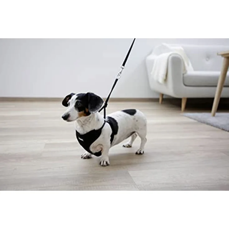 Welpengeschirr mit Leine, schwarz, 30 - 50 cm/10 mm – Bild 5