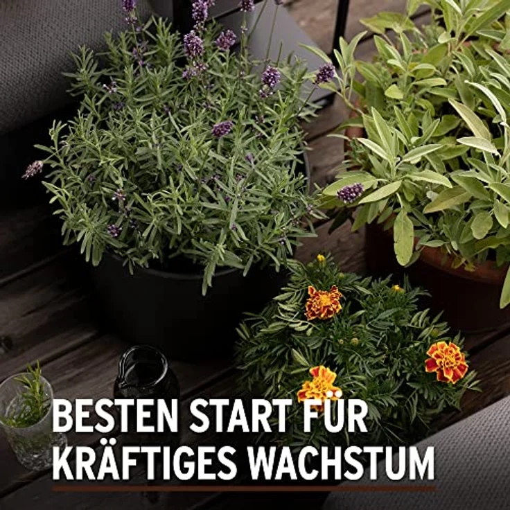 Substral Naturen Anzucht & Kräuter Erde Bio & torffrei, für Aussaaten, Stecklinge und Kräuter, vorgedüngt, 20L – Bild 4