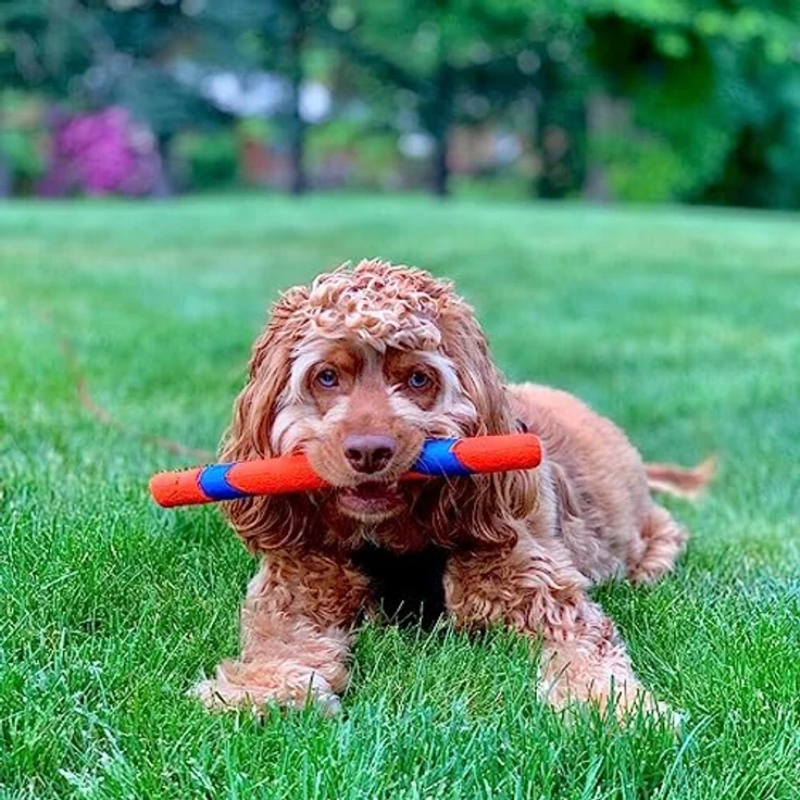 Chuckit! - Ultra Fetch Stick - 28 cm - 1 Stück – Bild 4