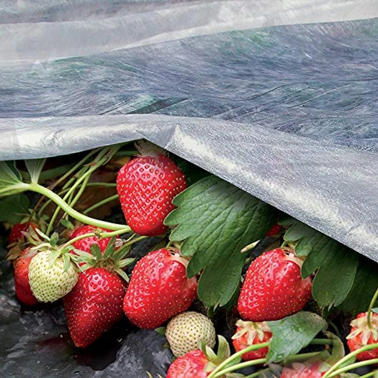 TENAX Ortoclima Wachstumsvlies 1,60x5 m Weiß, leichtes Frost- und Schutzvlies aus 100% Polypropylen, für Pflanzen- und Kulturschutz, atmungsaktiv, 17 g/m² – Bild 3
