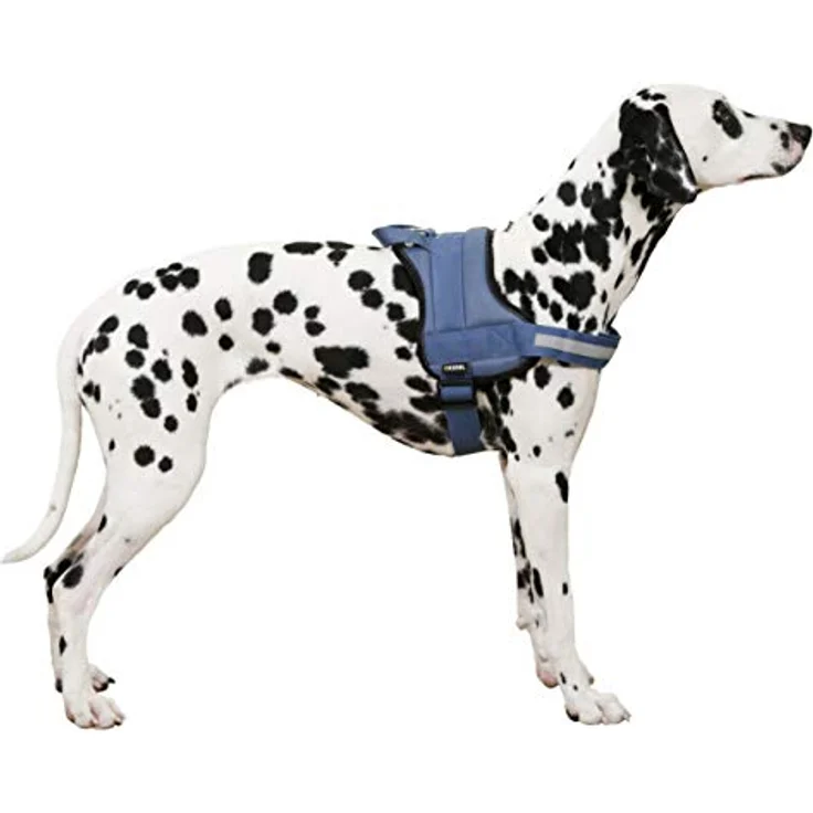 Kerbl Maxi-Pet 80212 Geschirr Maestro 2.0, mit Adresstube – Bild 2