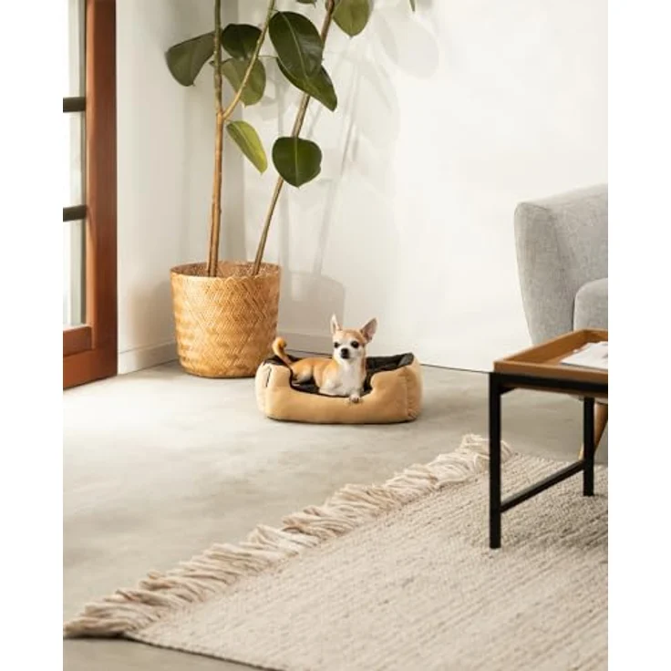 lionto Hundebett mit Wendekissen und Rutschfester Unterseite, Robustes Heimtierkissen mit tiefem Einstieg für Hunde und Katzen jeden Alters, 50x37 cm, kuscheliges Hundekissen, beige/braun – Bild 2