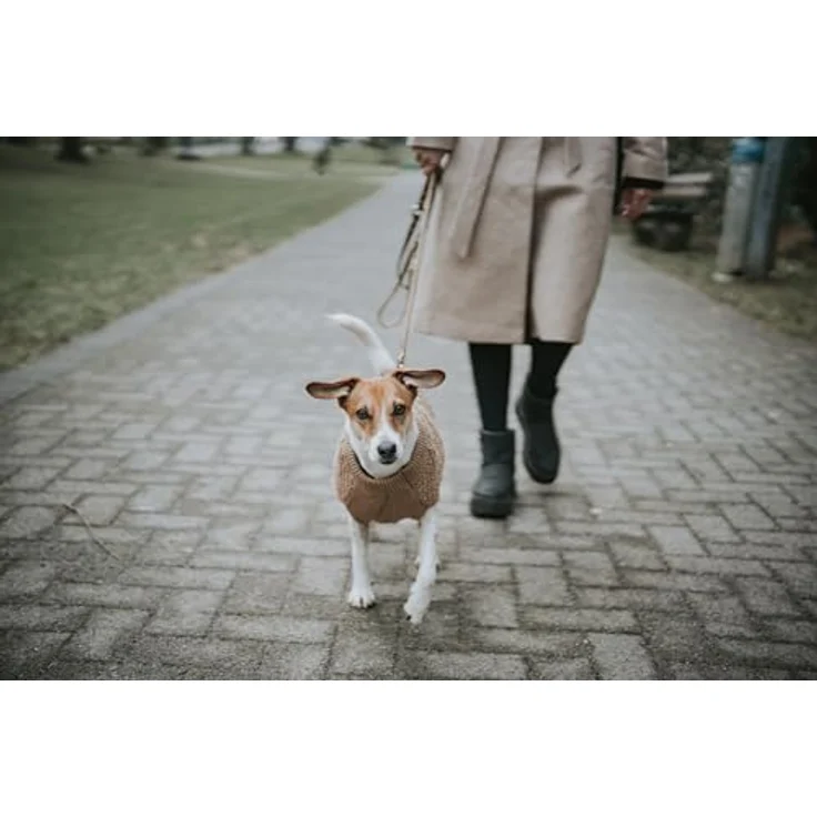 Hunter Hunde-Pullover Malmö beige 25 cm – Bild 6
