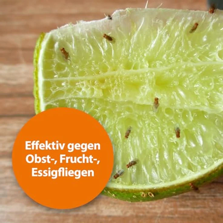 ARDAP Fruchtfliegenfalle - Hochwirksamer Lockstoff zur Reduktion von Fruchtfliegen & Essigfliegen, Insektizidfrei - 60 ml, dekoratives Design, Langzeitwirkung bis zu 6 Wochen, Blau – Bild 2