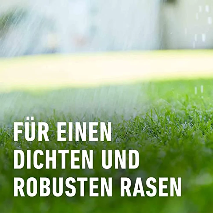 Compo FLORANID Rasen Langzeit-Dünger, 12 kg für 480 qm – Bild 3