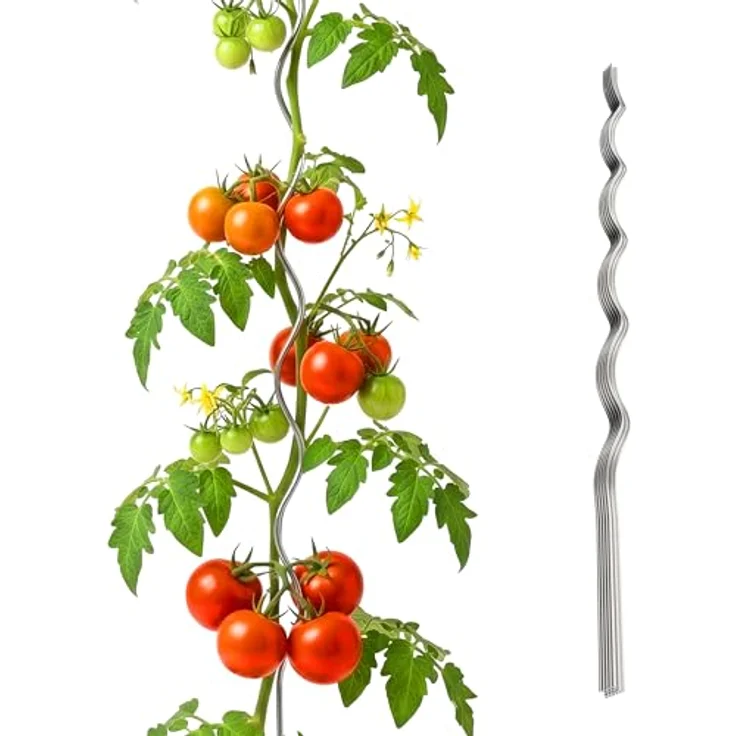 Relaxdays Tomaten Spiralstab, verzinkter Stahl, Silber, 20er Pack, 150 cm, wetterfest und robust – Bild 1