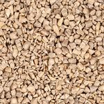 Lyra Pet® | 25 kg Sonnenblumenkerne Geschält Bruch Futterqualität 2. Wahl | Wildvogelfutter Ganzjährig | Optimal für Jungtiere | Vogelfutter Wildvögel | Wertvolles Streufutter | Energiespender - Preisvergleich