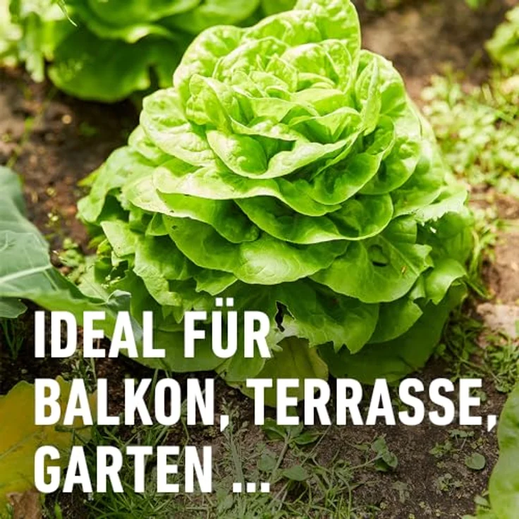 COMPO® Schneckenkorn, 1,1 kg – Bild 6