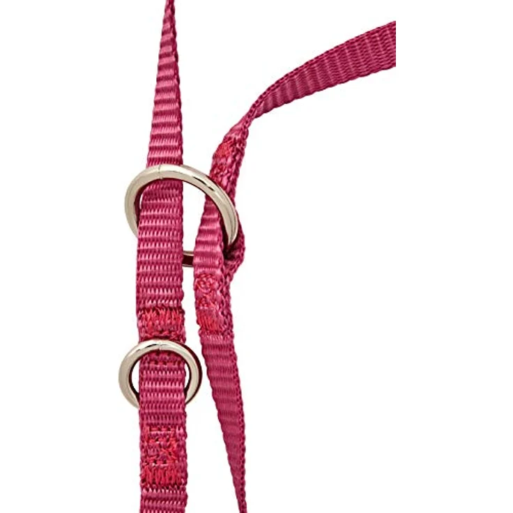 Nobby Führleine Classic, Nylon, 3-fach verstellbar, himbeere, L: 200 cm, B: 10 mm, 1 Stück – Bild 4
