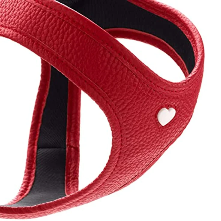 Geschirr Love Farbe rot, Größe XS – Bild 2