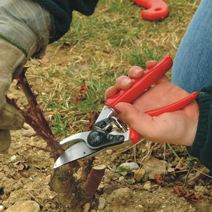 Baumschere FELCO 10 – Bild 3