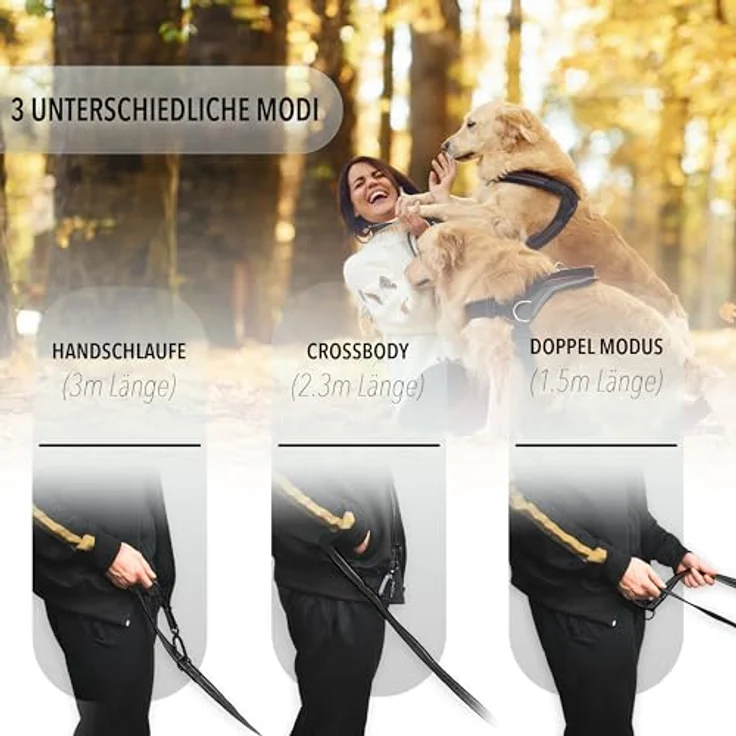 Bluzelle Hundeleine (XL, Hund, Spazieren), Halsband + Leine, reflektierende Nähte, rutschfester Griff – Bild 2