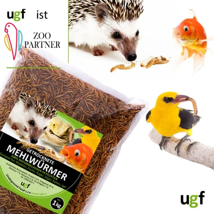 UGF Premium Mehlwürmer getrocknet 1 Kg, Insekten Snacks für Vögel, Hamster, Igel, Eidechsen, Schildkröten – 51% Protein, 100% natürlich ohne Konservierungsstoffe und Farbstoffe – Bild 2