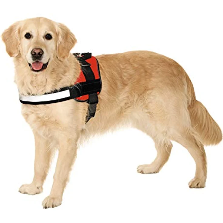 Karlie Hunde-Geschirr Karlie Xtreme No Limit Teflon-Geschirr - Rot Breite x Brustumfang: – Bild 3