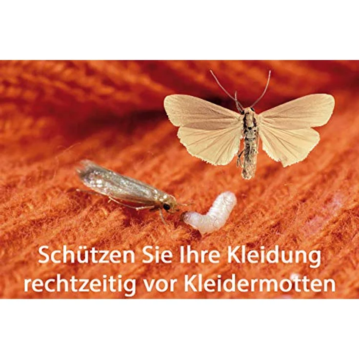 Nexa-Lotte Kleider- & Textil-Mottenfalle 2 Stück – Bild 6
