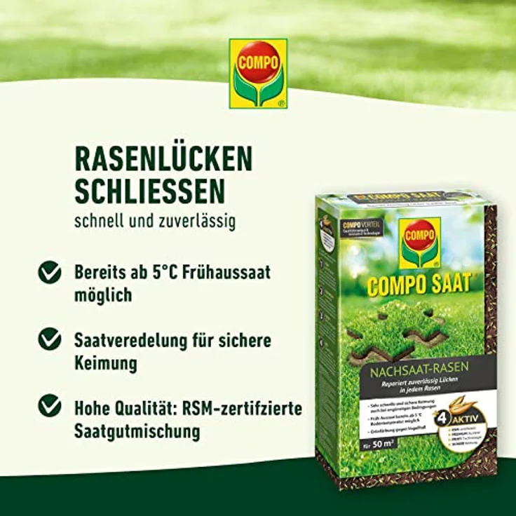 COMPO SAAT Nachsaat-Rasen, 2 kg Eimer für 100 qm – Bild 3