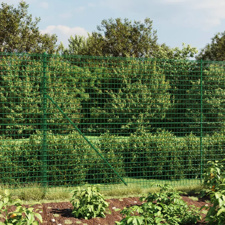 Prolenta Maison Exclusive - Maschendrahtzaun Grün 2x25 m, verzinkter Stahl mit PVC-Beschichtung, robust und korrosionsbeständig