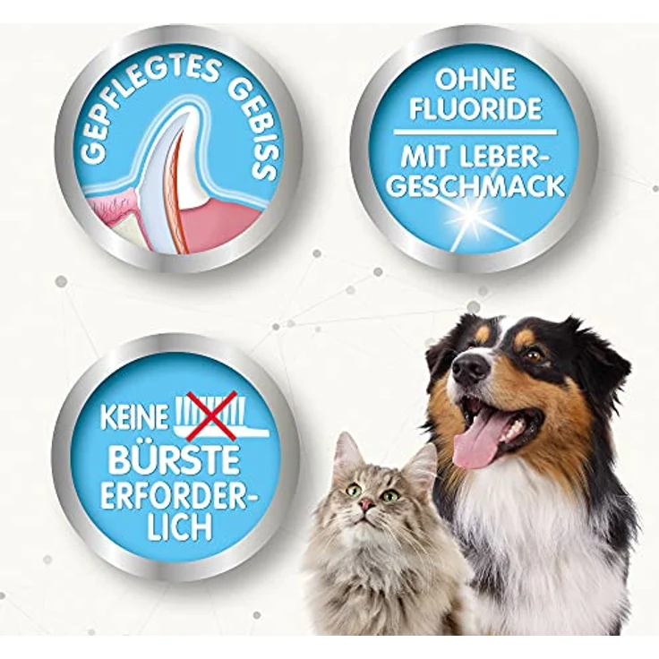 Beaphar Zahngel - Für Hunde und Katzen - Mit Leber-Geschmack - Zahnpflege ohne Zahnbürste - 100 g – Bild 4