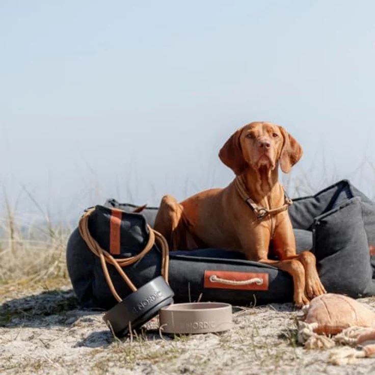 TRIXIE Hundenapf aus Keramik BE NORDIC 1200 ml schwarz - moderner Fressnapf für große Hunde ø 18 cm Keramiknapf mit rutschfester Gummierung - 24524 – Bild 5