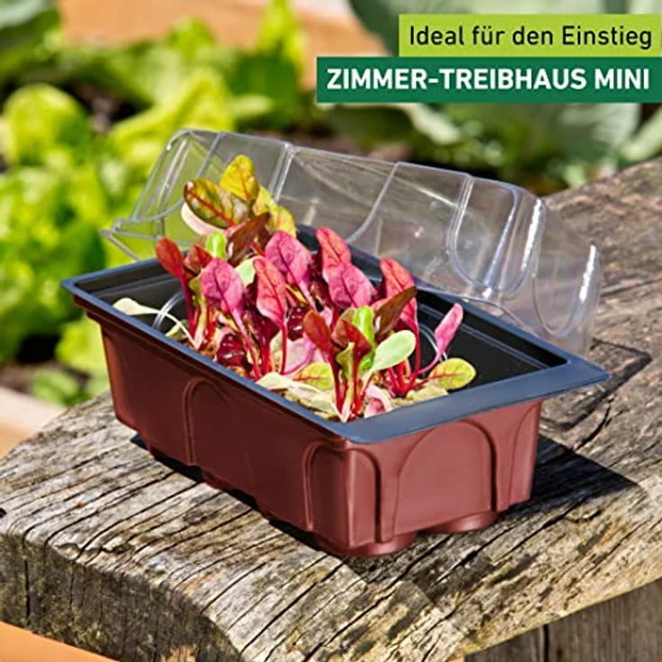 Windhager Zimmer-Gewächshaus Mini inklusiv 8 Quelltabs, terracotta - anthrazit, 11 x 19 x 6 cm, 06842 – Bild 2